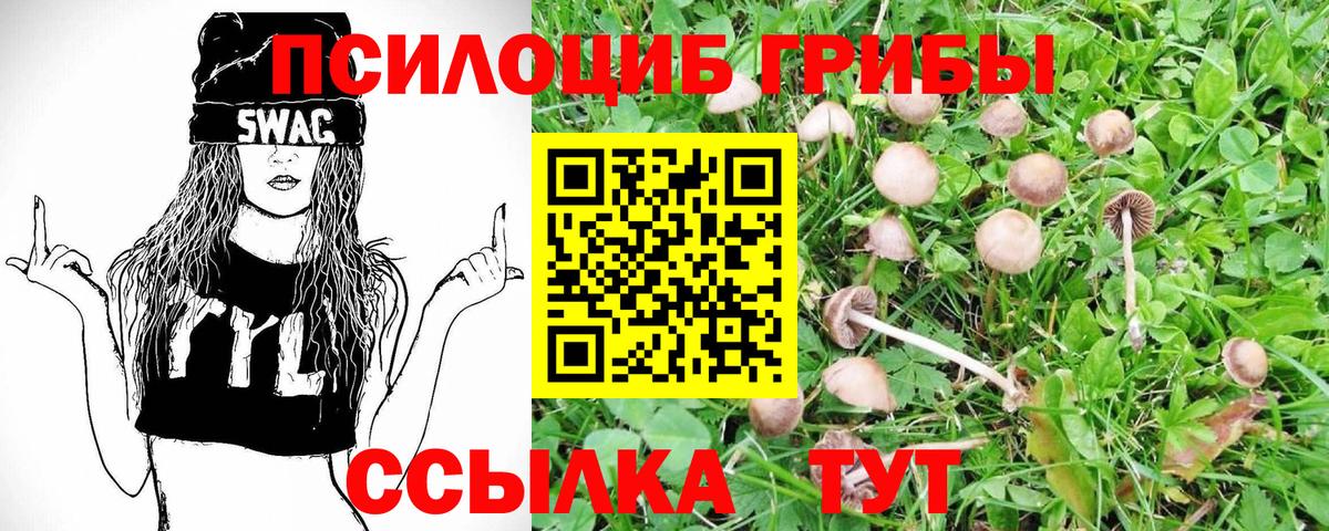 Галлюциногенные грибы прущие грибы Бердск