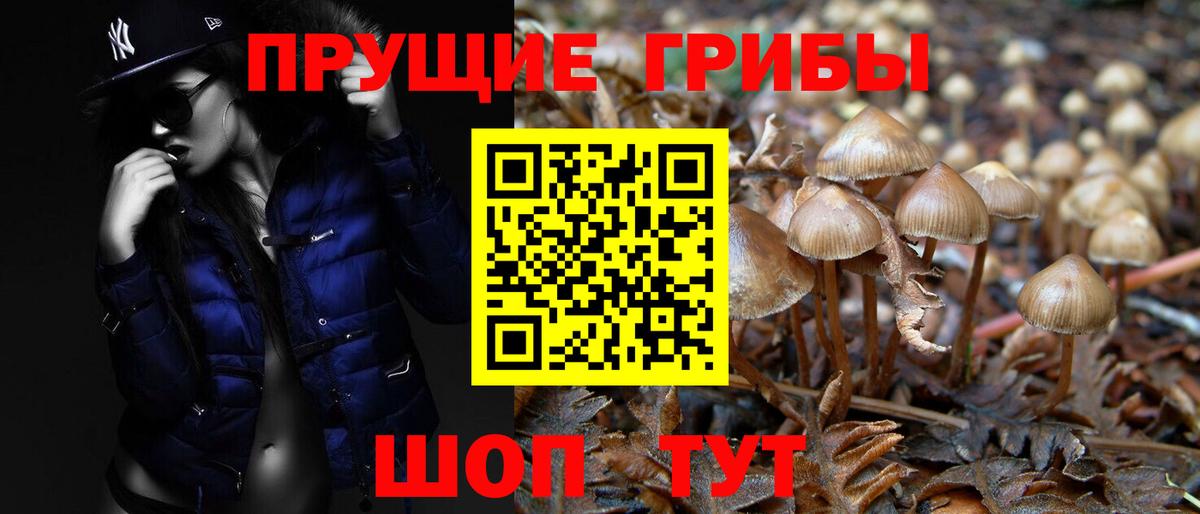 Бердск  Галлюциногенные грибы ЛСД  Вход с VPN 
